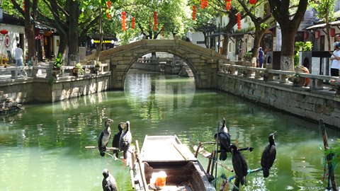 Tong-Li Ancient Town