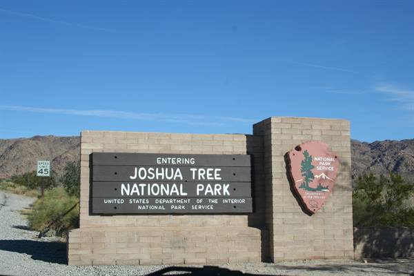 California - Joshua Tree N.P.