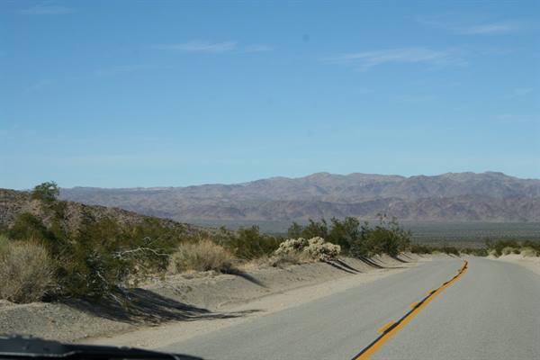 California - Joshua Tree N.P.