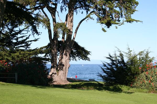 California - Monterey
