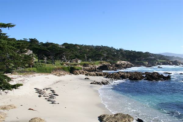 California - 17 Mile Drive