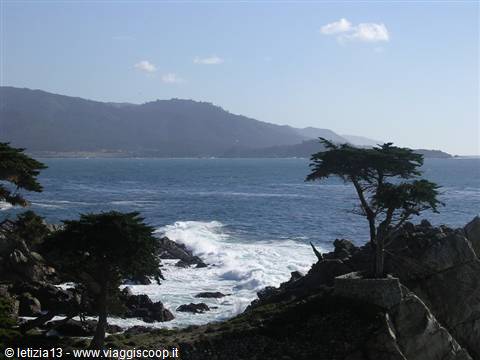 California - 17 Mile Drive, Lone Cypress