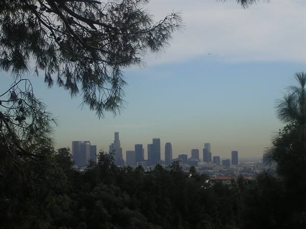 Los Angeles Skyline