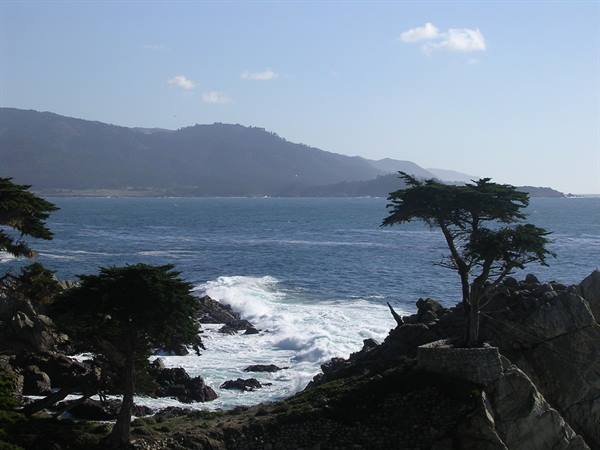 17 Mile Drive - Lone Cypress