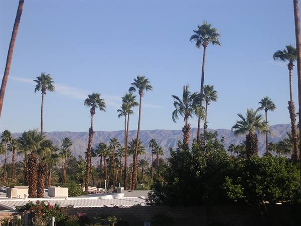 Palm Springs