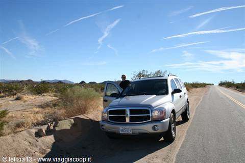 Joshua Tree National Park