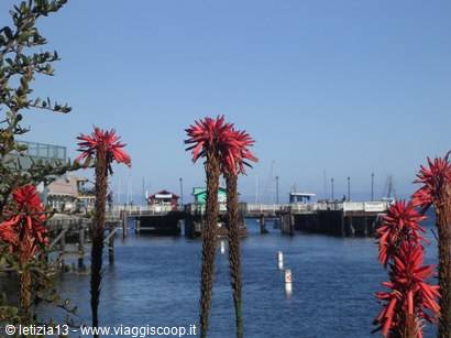 Monterey