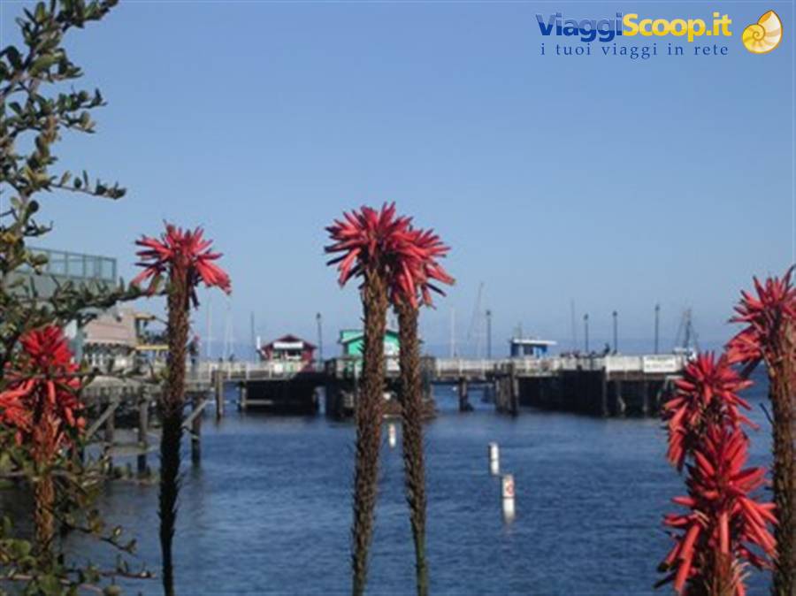 Monterey