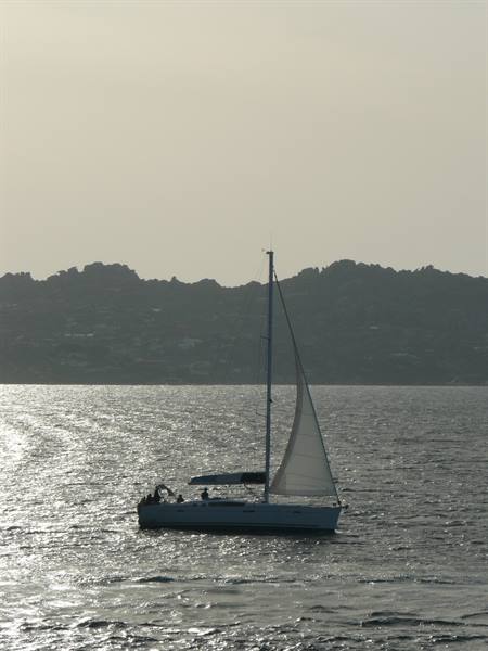 Sailboat glides across shimmering water in front of a hilly coastline