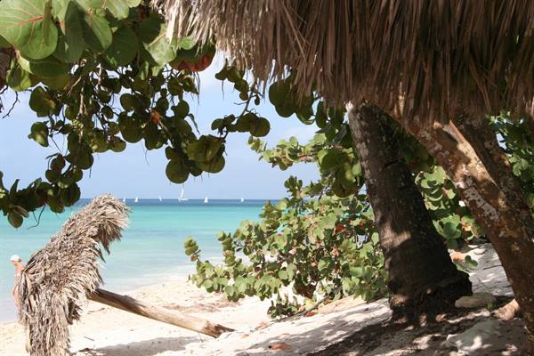 Tropical beach with white sand, palms, thatched umbrella and sailboats offshore