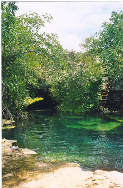 Cenotes in the forest