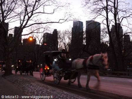 Central Park