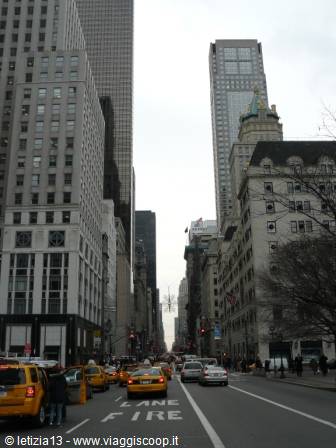 5th Avenue