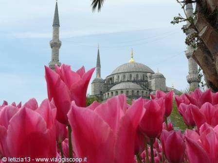 Blue Mosque