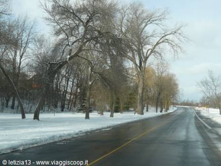 Snowy road lined with bare trees under gray winter sky