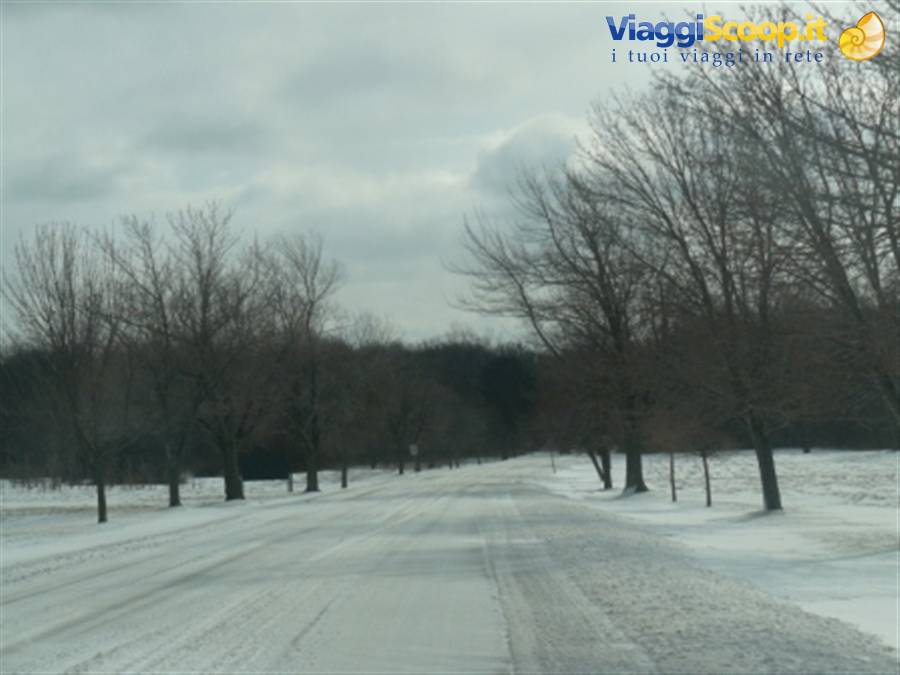 Snow-covered road lined with bare trees under a cloudy sky, shot from car window