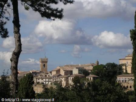 town rooftops and bell tower framed by pine branches under clouds