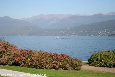 Lake Maggiore with a ferry crossing and pink hydrangeas in the foreground