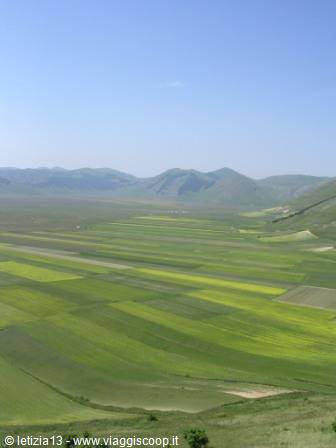 Castelluccio plains: green and yellow cultivated fields among Umbrian mountains