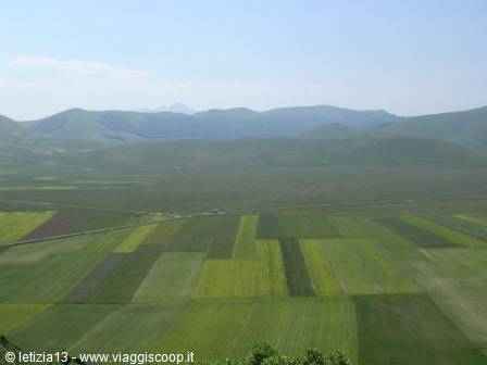Castelluccio di Norcia, patchwork of green cultivated fields among the mountains