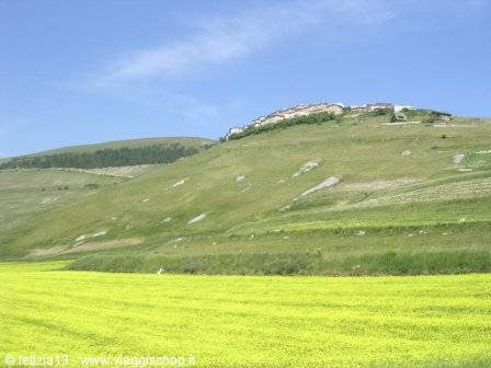 Yellow flowering fields beneath Castelluccio village, blue sky above