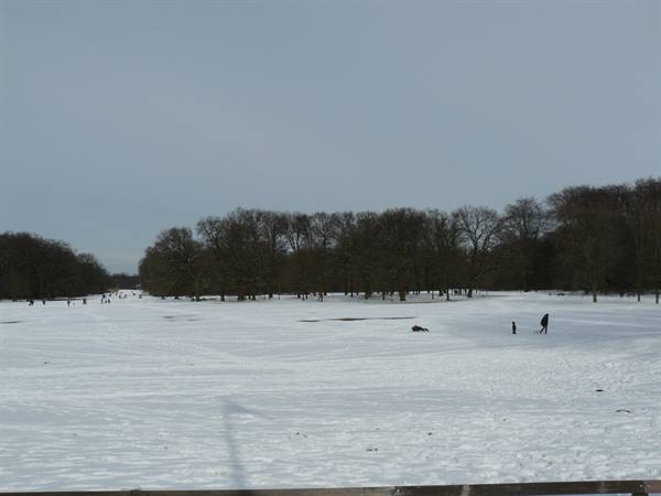 Bremen - Bürgerpark