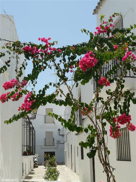 Vejer de la Frontera