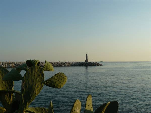 Marbella - Puerto Banús