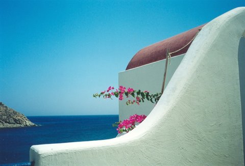 Curved whitewashed wall with pink bougainvillea above the blue sea