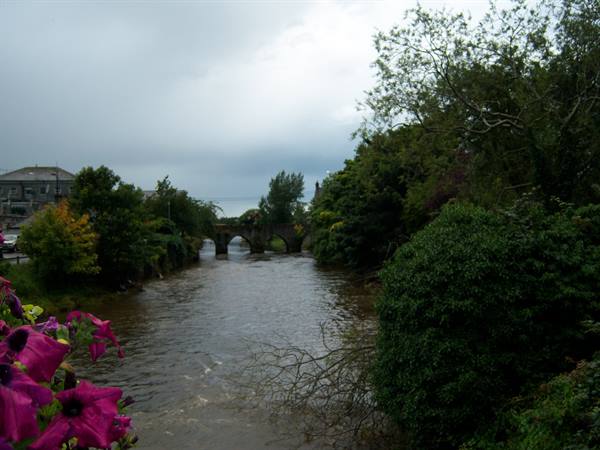 Pink flowers in foreground, river with old stone bridge, grey sky