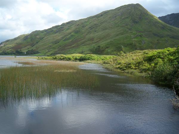 Lake with reeds below a green wooded mountain, cloudy sky