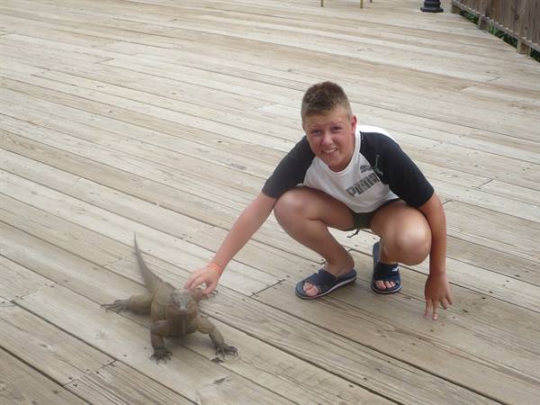 Watch out for the iguana!!!!!!!!!!!!!!!!!!!!