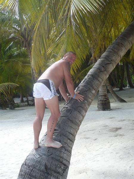the palms........