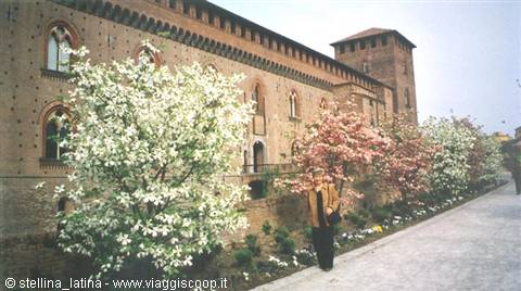 Pavia: the castle