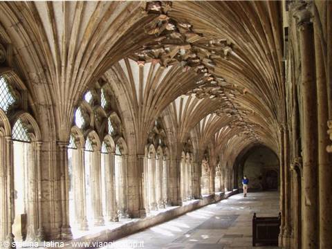 the gothic Cathedral -photo from the internet