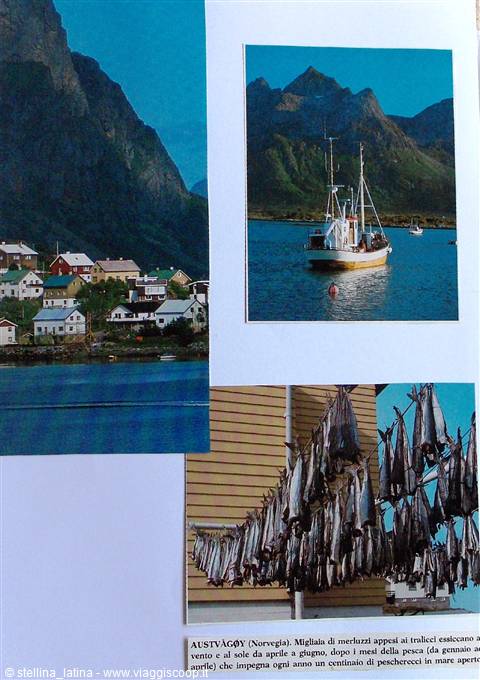 Austvågøy: colorful houses by the fjord, fishing boat in harbor, cod drying on racks