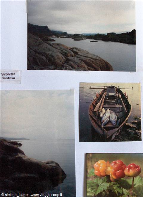 Svolvær, Lofoten: wooden boats with fish catch, rocks and cloudberries