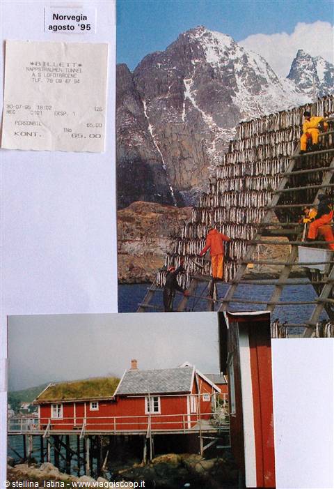 Lofoten: stockfish drying on wooden racks, red stilt houses below