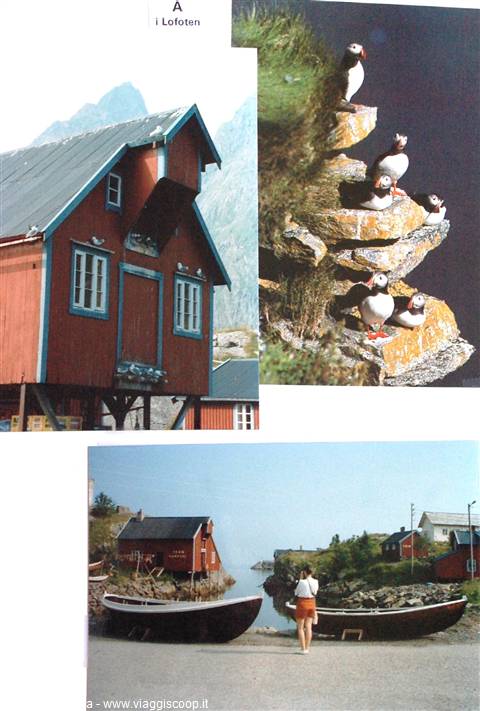 Lofoten Islands: red stilt fishing cabins, puffins on rocks, boats ashore