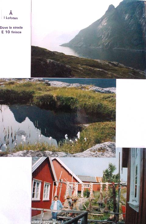 Å, Lofoten: mountains over fjord, cotton-grass pond, red rorbu with drying fish