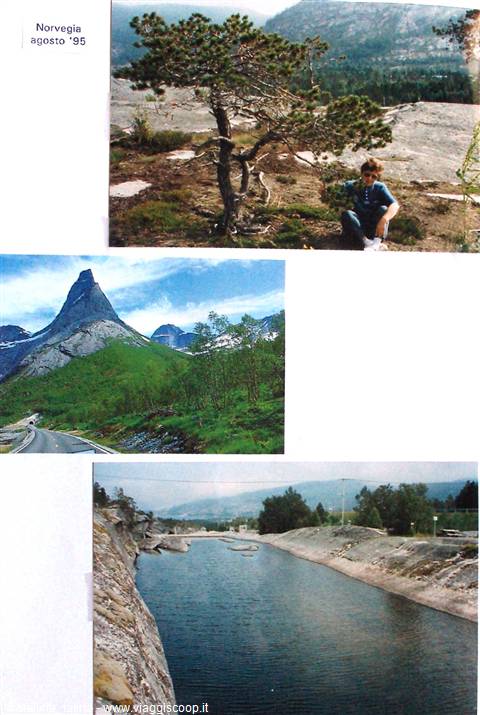 Collage of three photos: woman under a pine, mountain by the road, rocky canal, Norway 1995