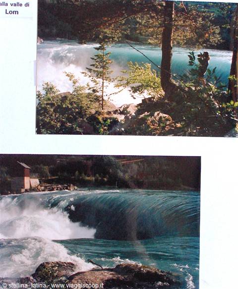 Turbulent river in Lom valley, white foam among pines and rocks