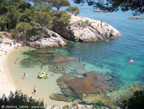Swimmers in turquoise water among granite rocks and pines, sandy cove