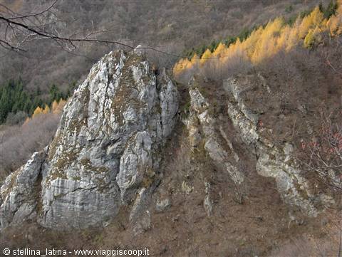 Grey rock outcrop on wooded slope, yellow autumn larches in background