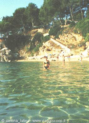 Woman in clear water on rocky beach with pine trees