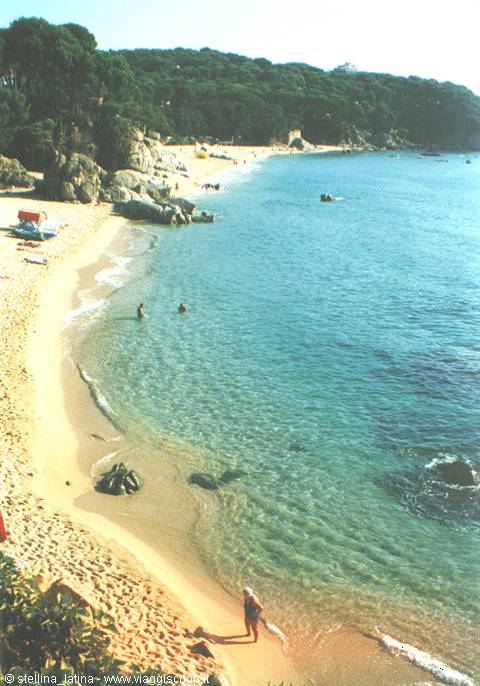 Golden sand beach with swimmers and rocks, green pine forest over the bay