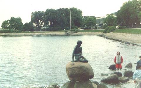 little mermaid