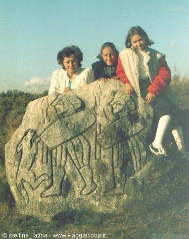 cimbri: borremose stele