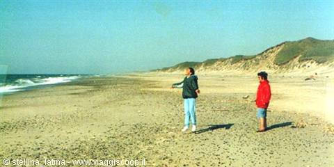 sand dunes