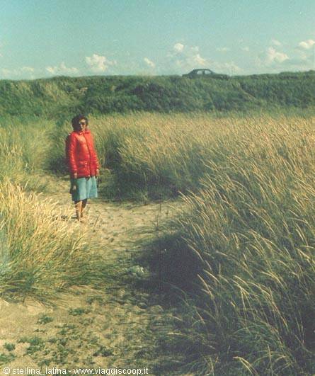 sand dunes